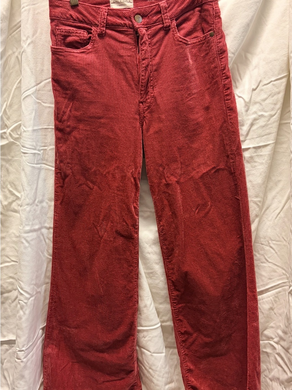 Pilcro corduroy burgundy pants
